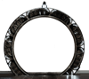 SGU Rewind